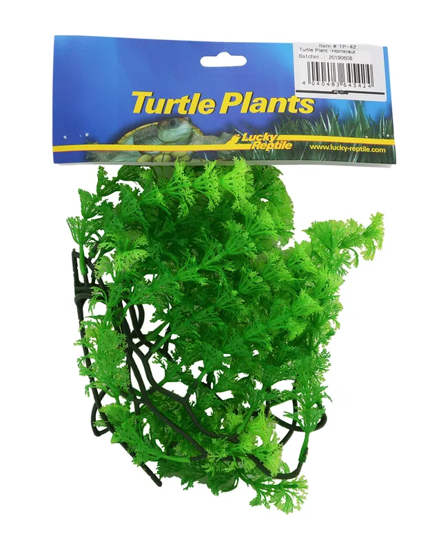 lucky-reptile-turtle-plant-hornkraut-plf042-schwimm-kunstpflanze-47-g image 1