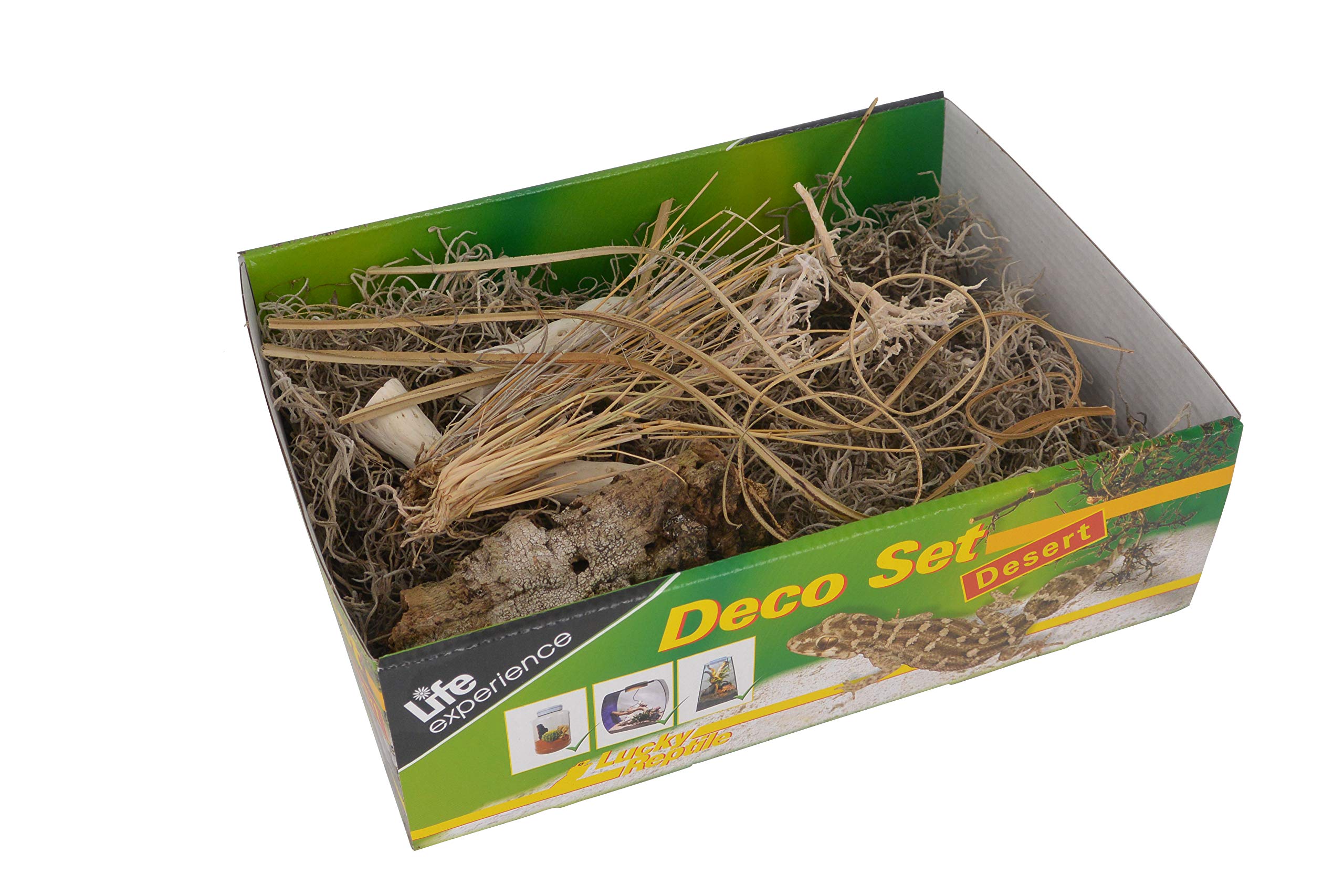 lucky-reptile-life-experience-deco-set-w-ste-terrarium-deko image 2