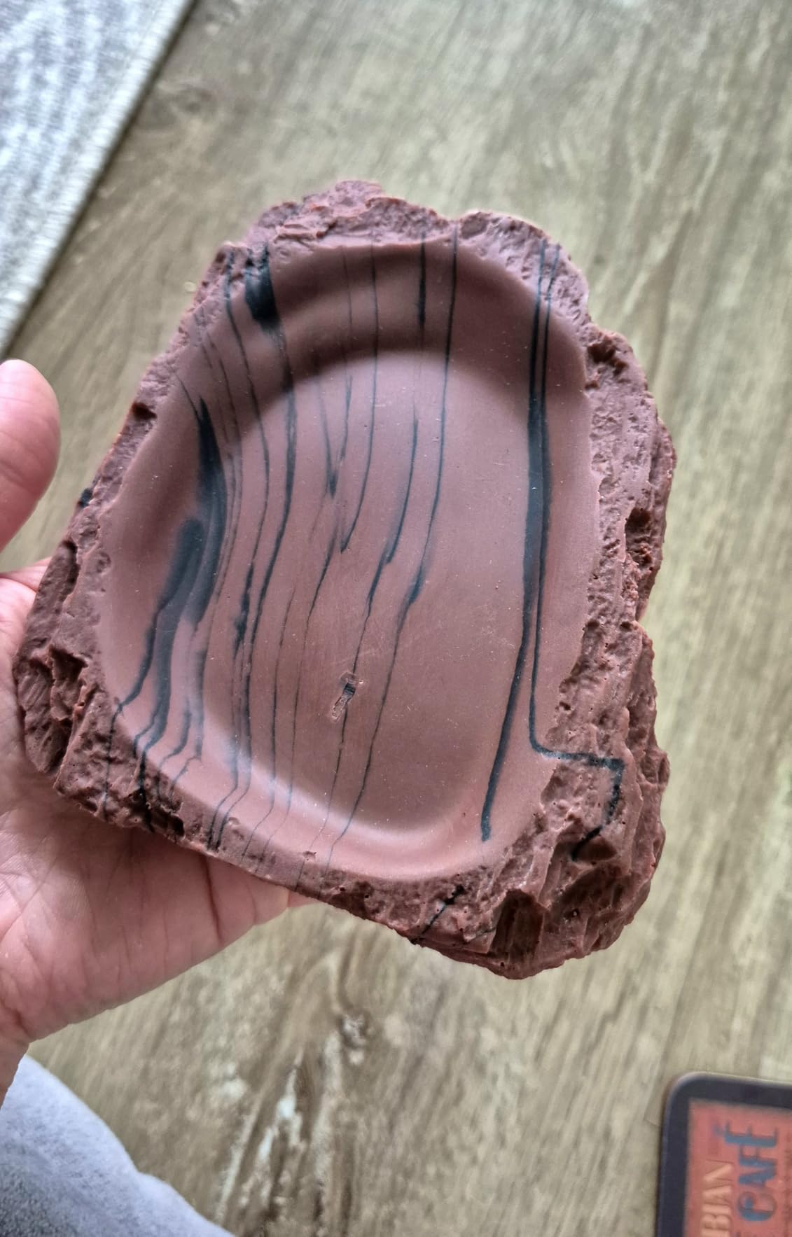 Ideal für Babyschildkröten