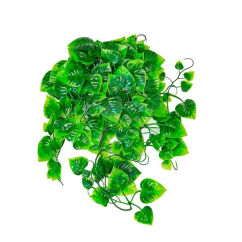 lucky-reptile-64566-philo-terrarium-h-ngepflanze-150-g-extra-dicht image 4