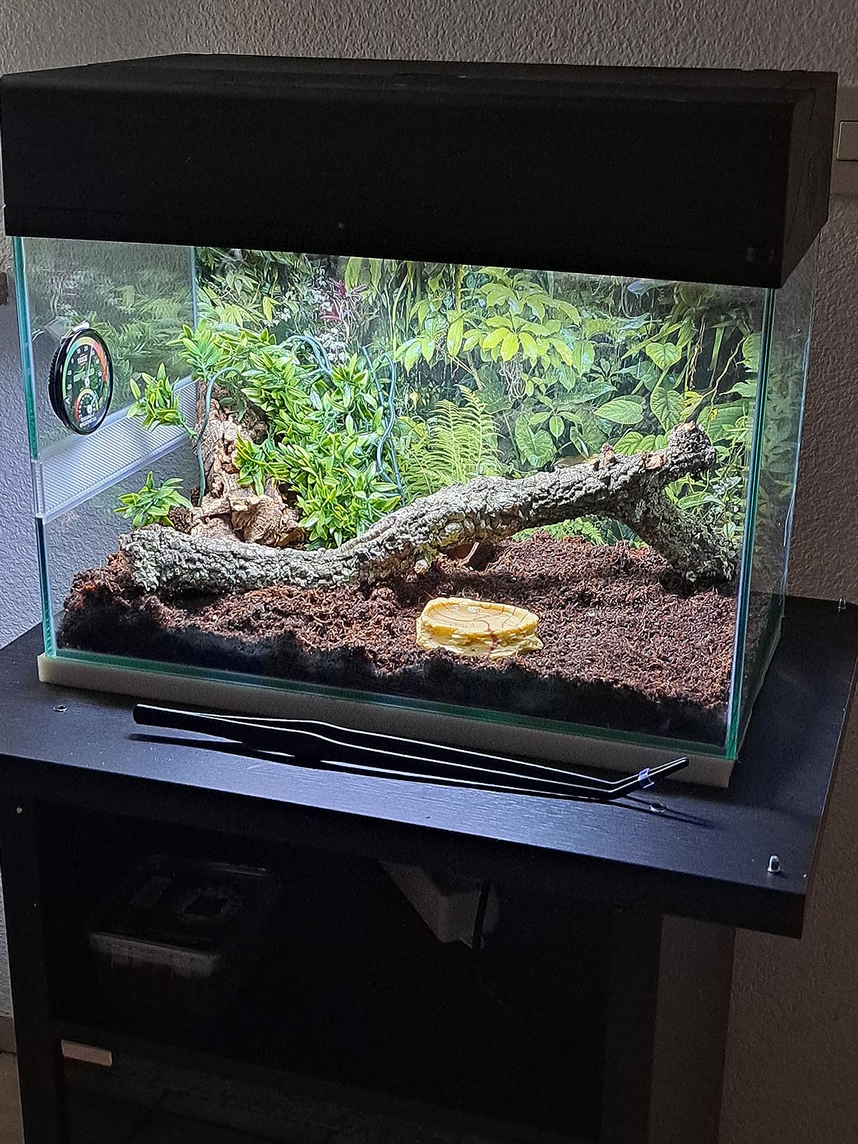 Ganz okay, mit kleinen Macken
