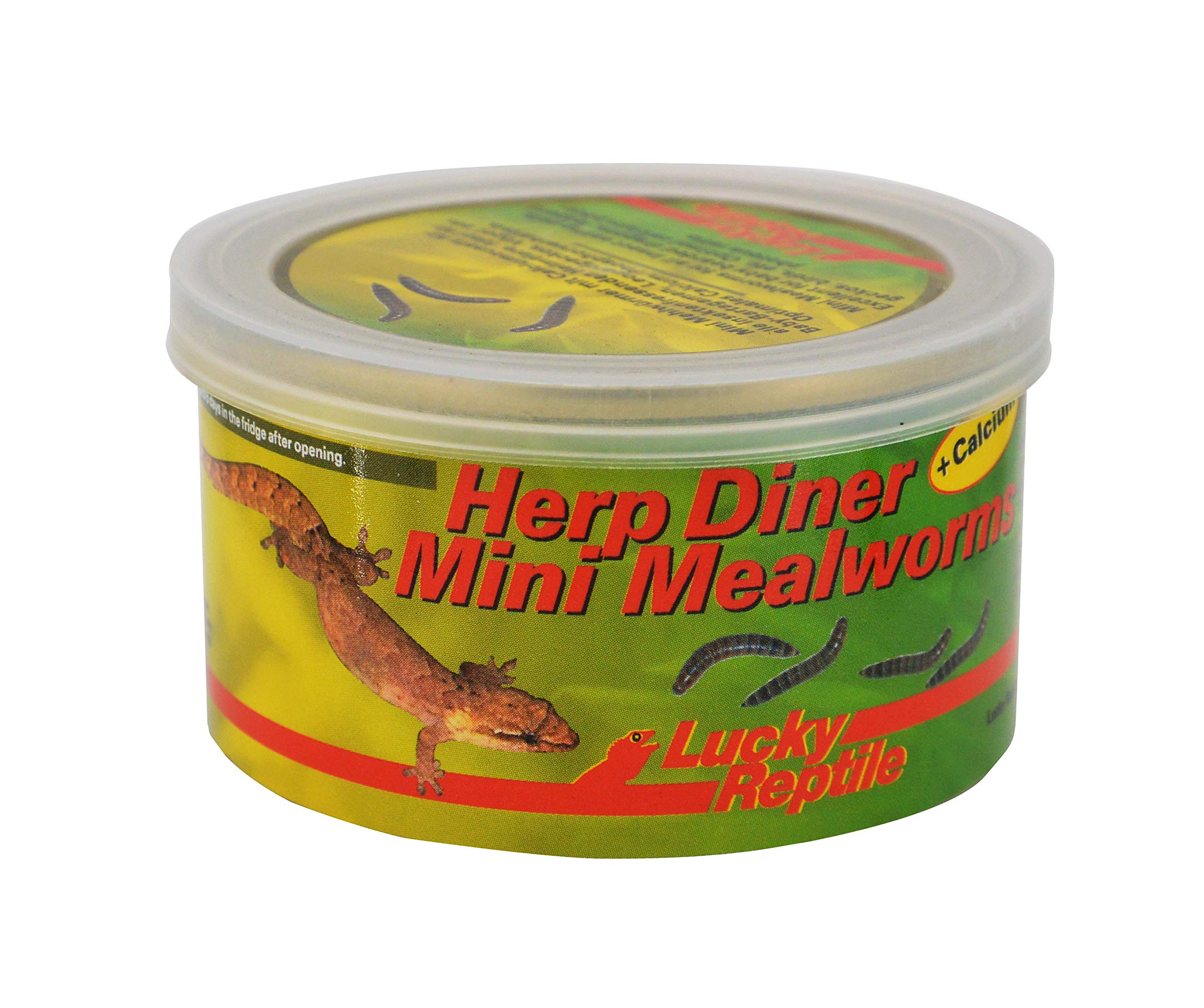 lucky-reptile-herp-diner-superworms-dosenfutter-f-r-reptilien image 6