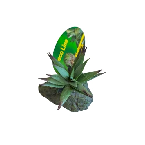 lucky-reptile-tiger-aloe-kunstpflanze-ca-8-cm-auf-steinsockel image 4