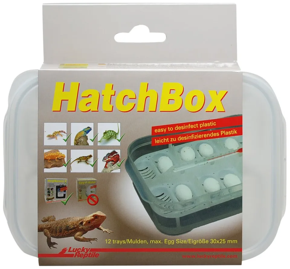 lucky-reptile-hatchbox-brutbox-f-r-reptilieneier-f-r-bis-zu-12-eier image 1