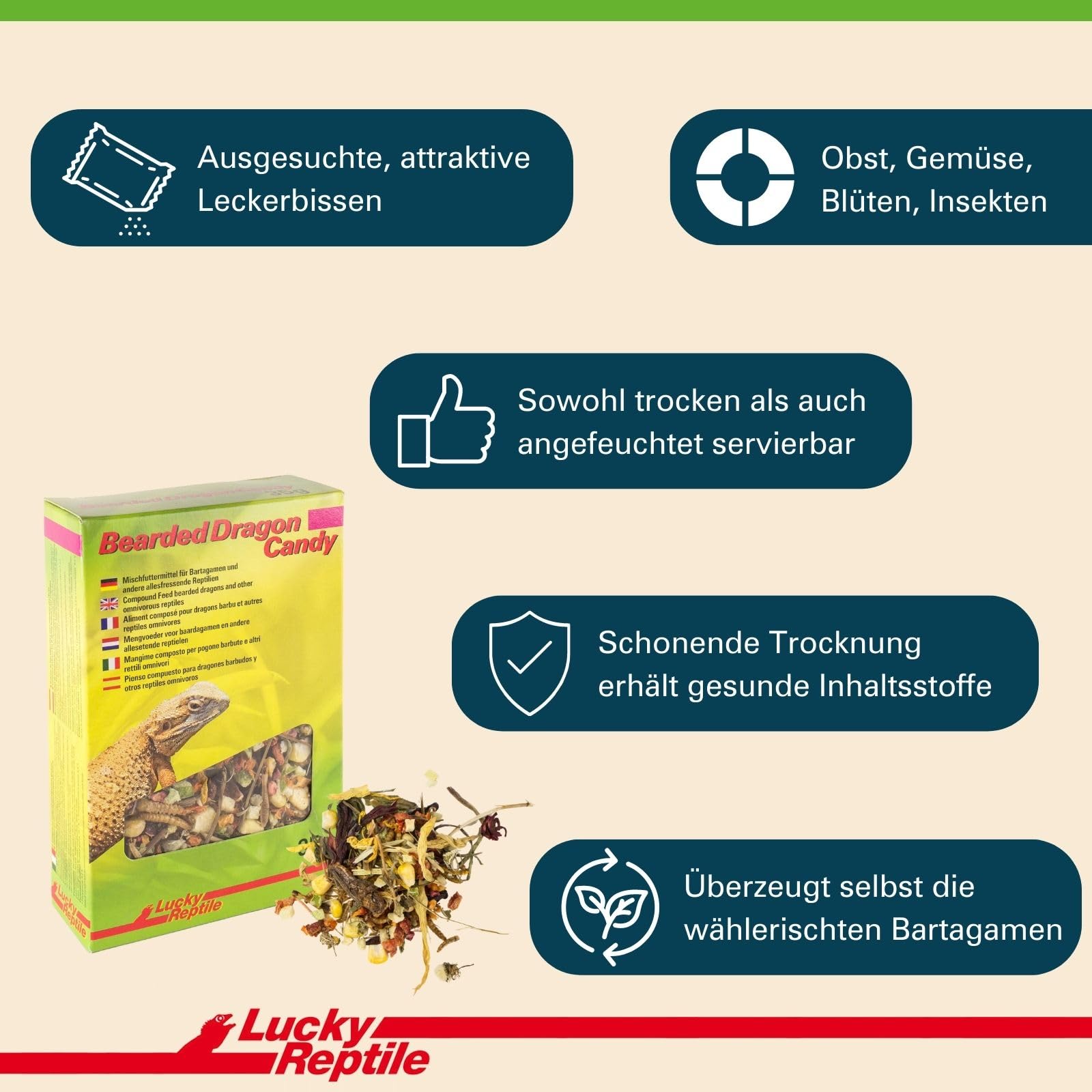 lucky-reptile-bearded-dragon-candy-bartagamen-futter image 2