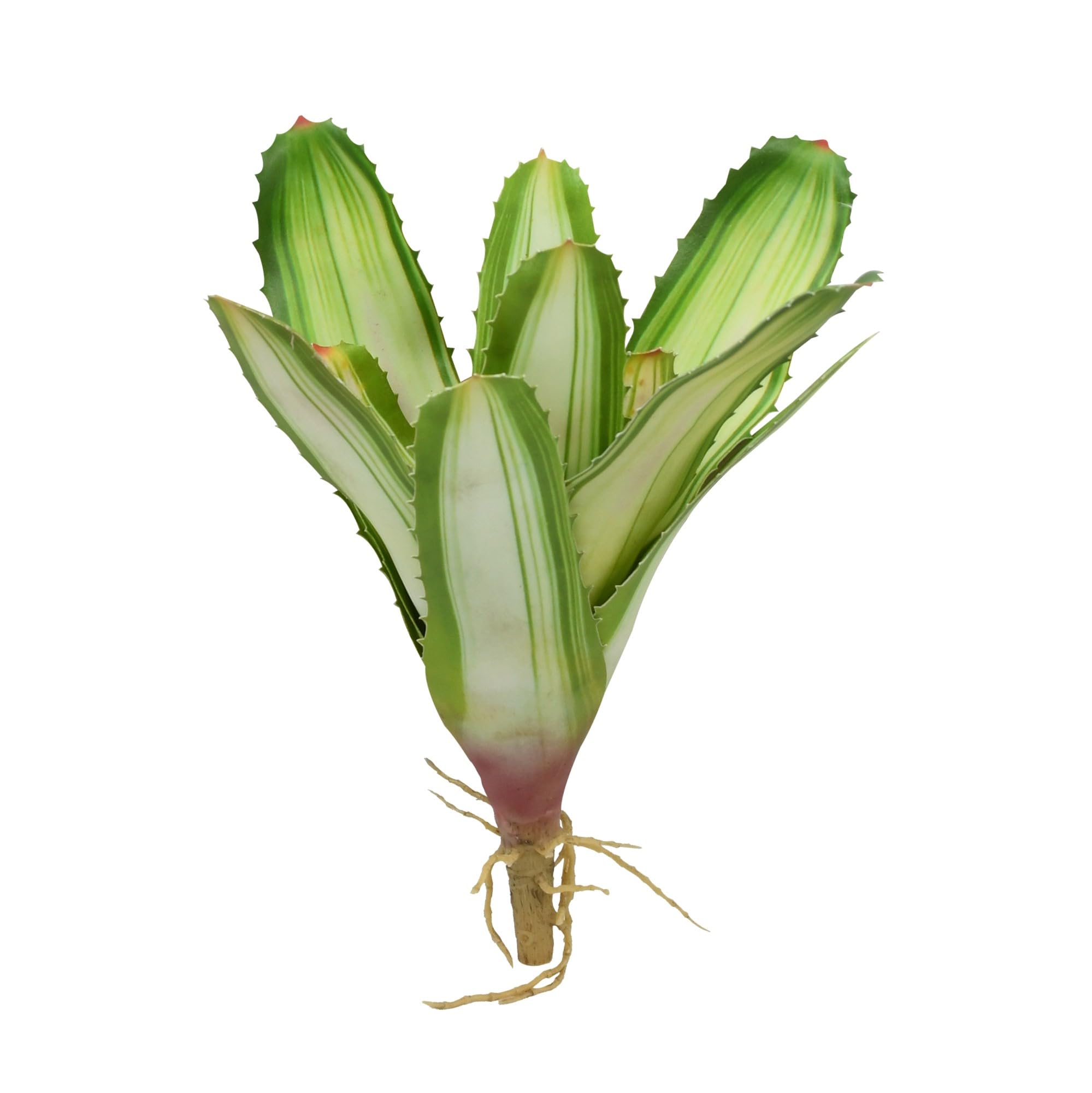 lucky-reptile-scape-it-easy-bromelie-neoregelia-dekopflanze-wei-ca-20-cm image 3