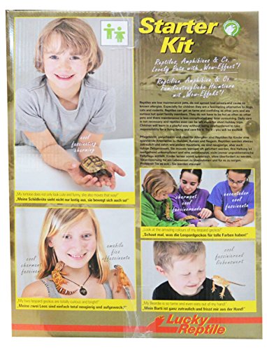 lucky-reptile-starter-kit-bartagame-80-x-40-x-52-cm-schwarz image 8
