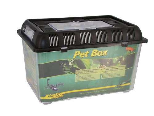 lucky-reptile-pet-box-mittel-kunststoffterrarium-mit-futterluke image 6