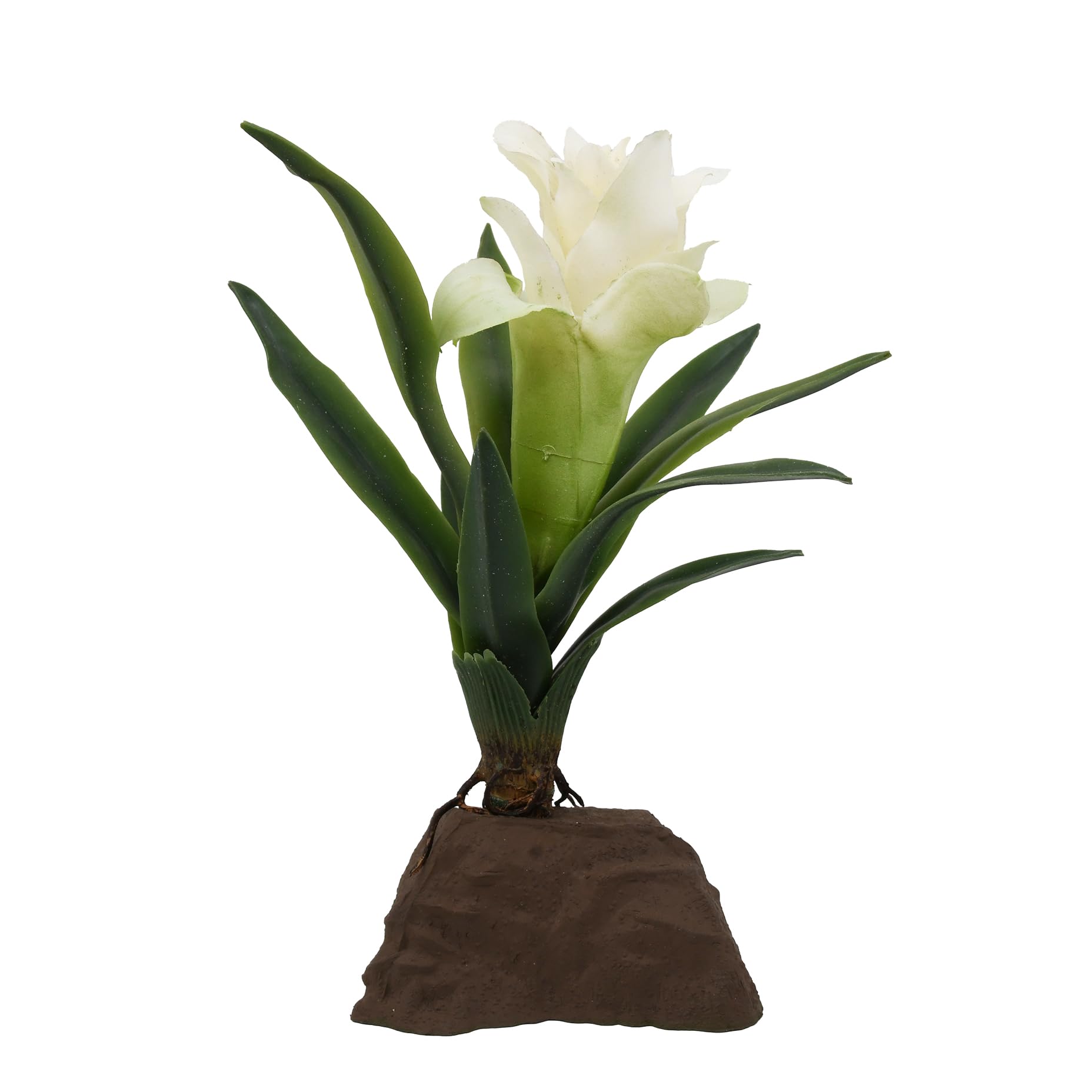 lucky-reptile-scape-it-easy-bromelie-neoregelia-gr-n-ca-20-cm-terrarien-dekopfla image 4