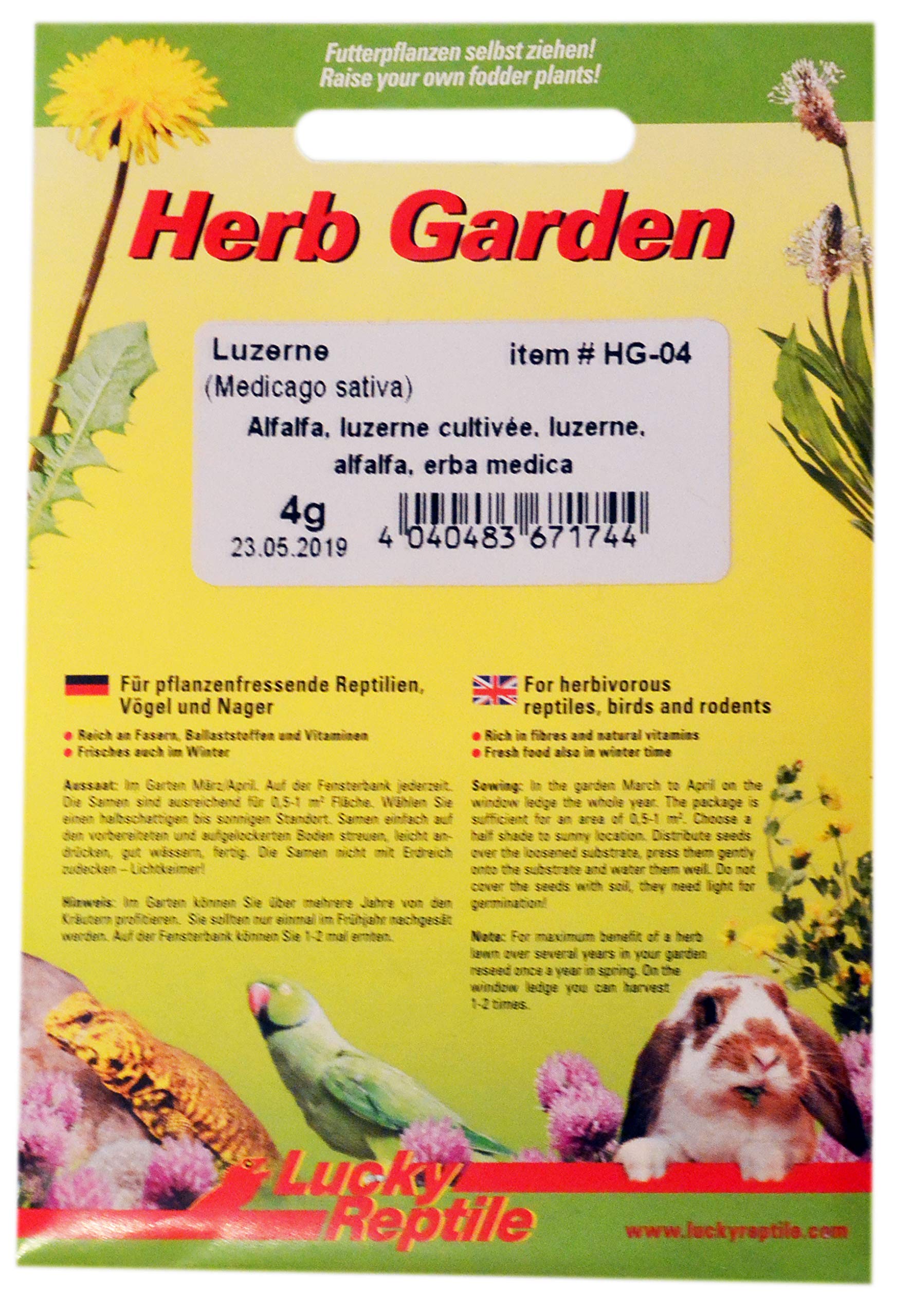 lucky-reptile-herb-garden-hg-05-ringelblume-3-g-futtersamen image 6