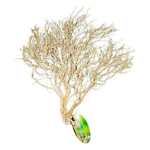 lucky-reptile-w-stenbusch-natur-terrarium-deko-mittel image 8