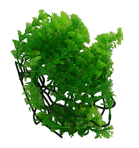 lucky-reptile-turtle-plant-hornkraut-plf042-schwimm-kunstpflanze-47-g image 6