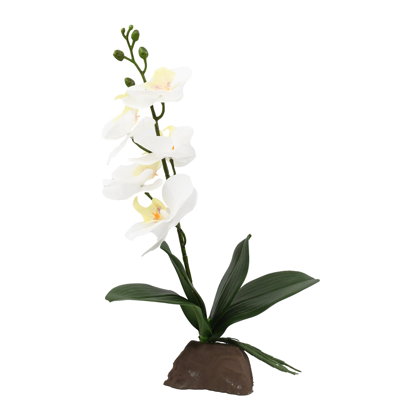 lucky-reptile-scape-it-easy-orchidee-klein-lila-ca-35-cm-dekopflanze-f-r-terrari image 4