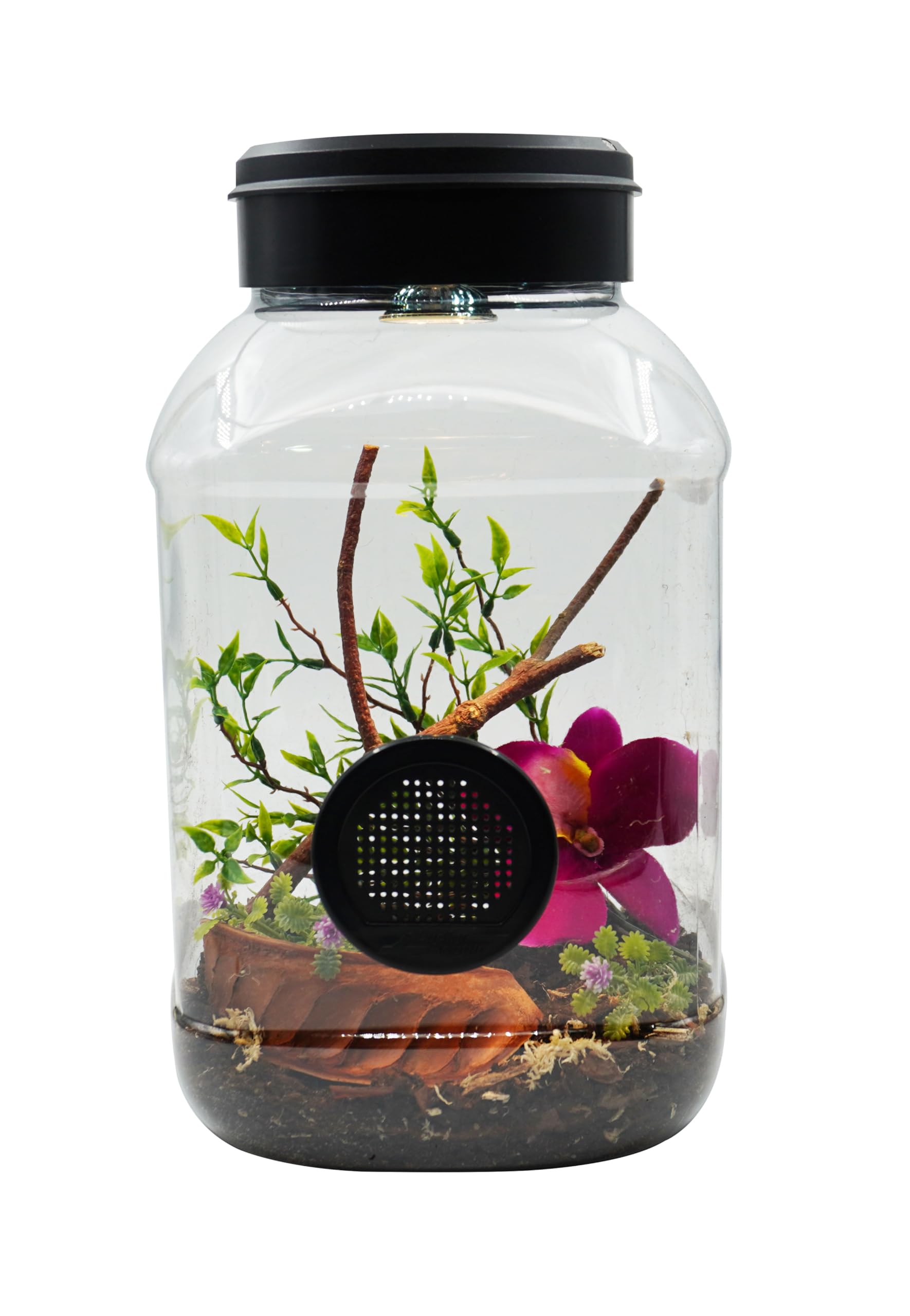 lucky-reptile-mantistarrium-kleinterrarium-18-x-18-x-35-cm-f-r-gottesanbeterinne image 7