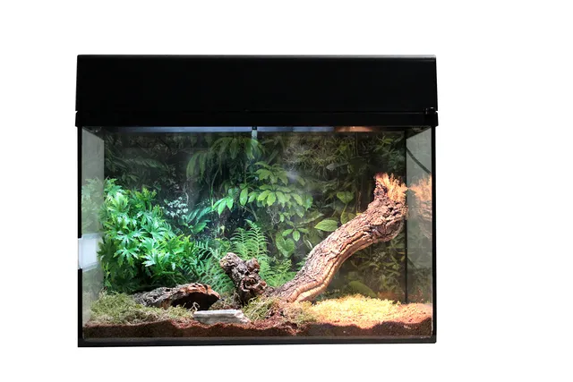 lucky-reptile-starter-kit-vogelspinne-skorpion-schwarz-50x28x40-cm-terrarium-kom image 1