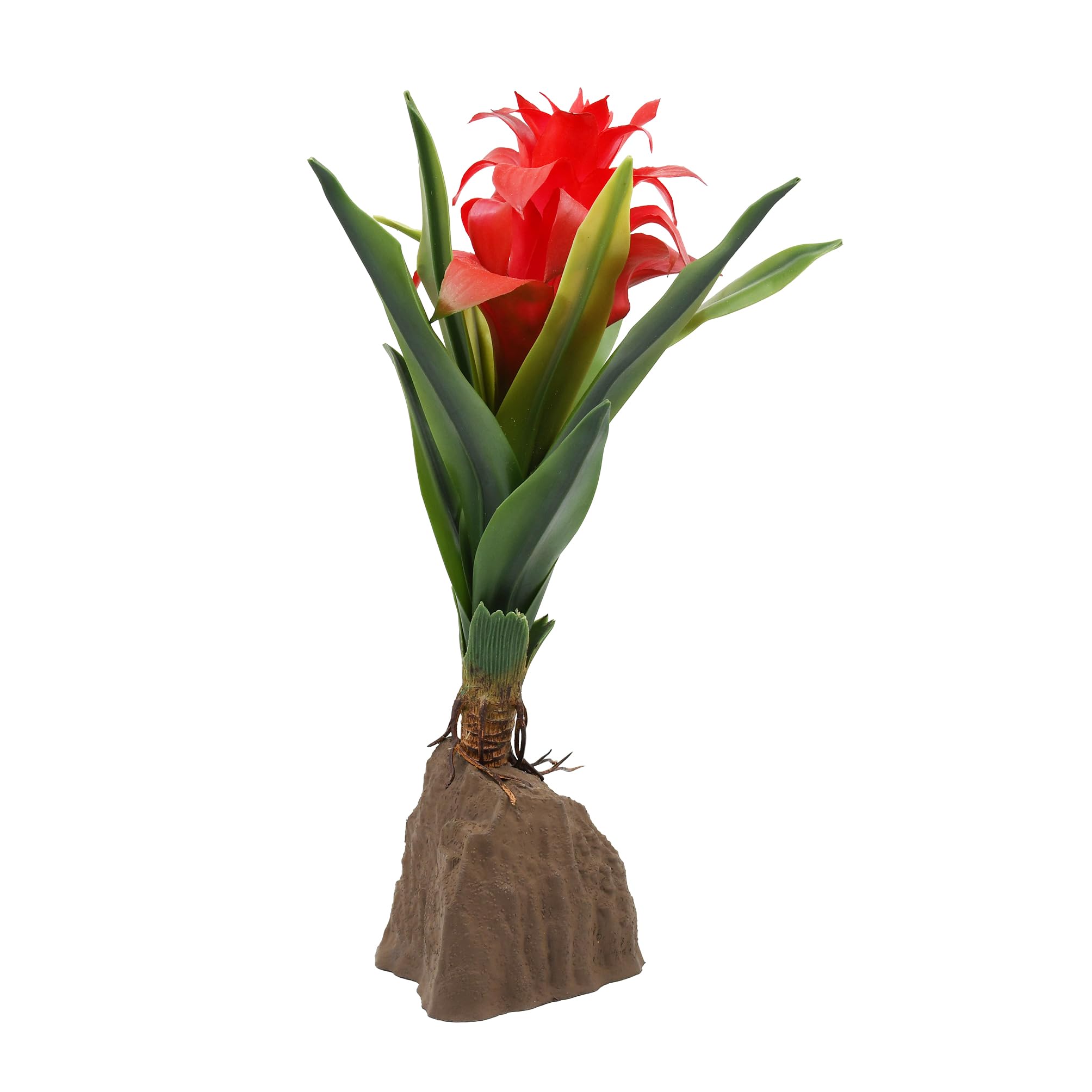 lucky-reptile-scape-it-easy-bromelie-neoregelia-gr-n-ca-20-cm-terrarien-dekopfla image 5