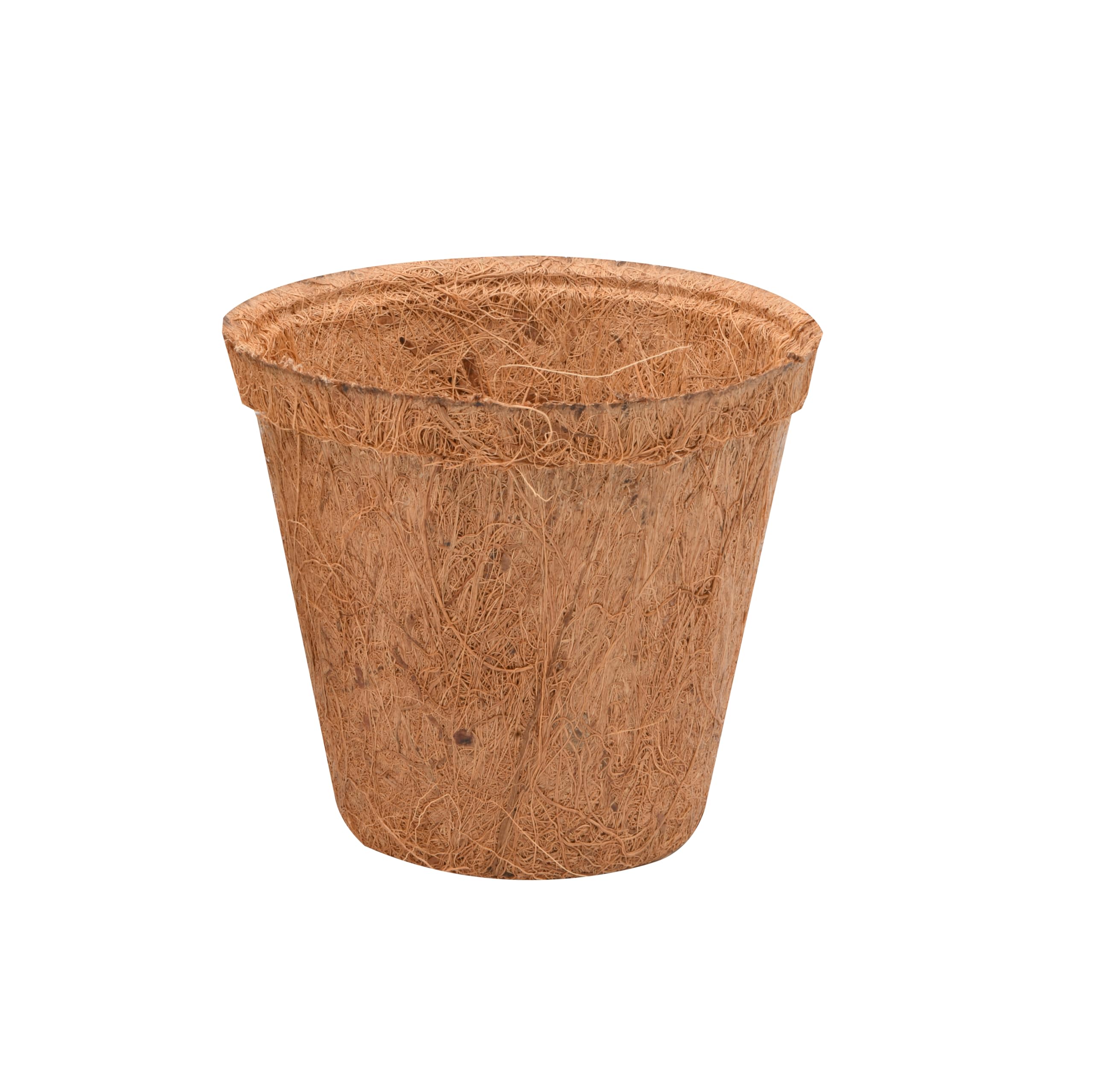 lucky-reptile-coco-planter-kokos-pflanztopf-klein image 1