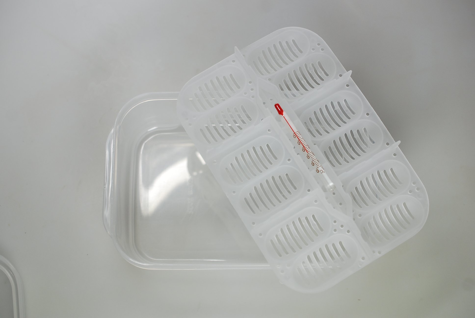 lucky-reptile-hatchbox-brutbox-f-r-reptilieneier-f-r-bis-zu-12-eier image 7