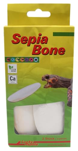 lucky-reptile-sepia-bone-s-doppelpack-unter-16-cm-sepiaschulp image 4