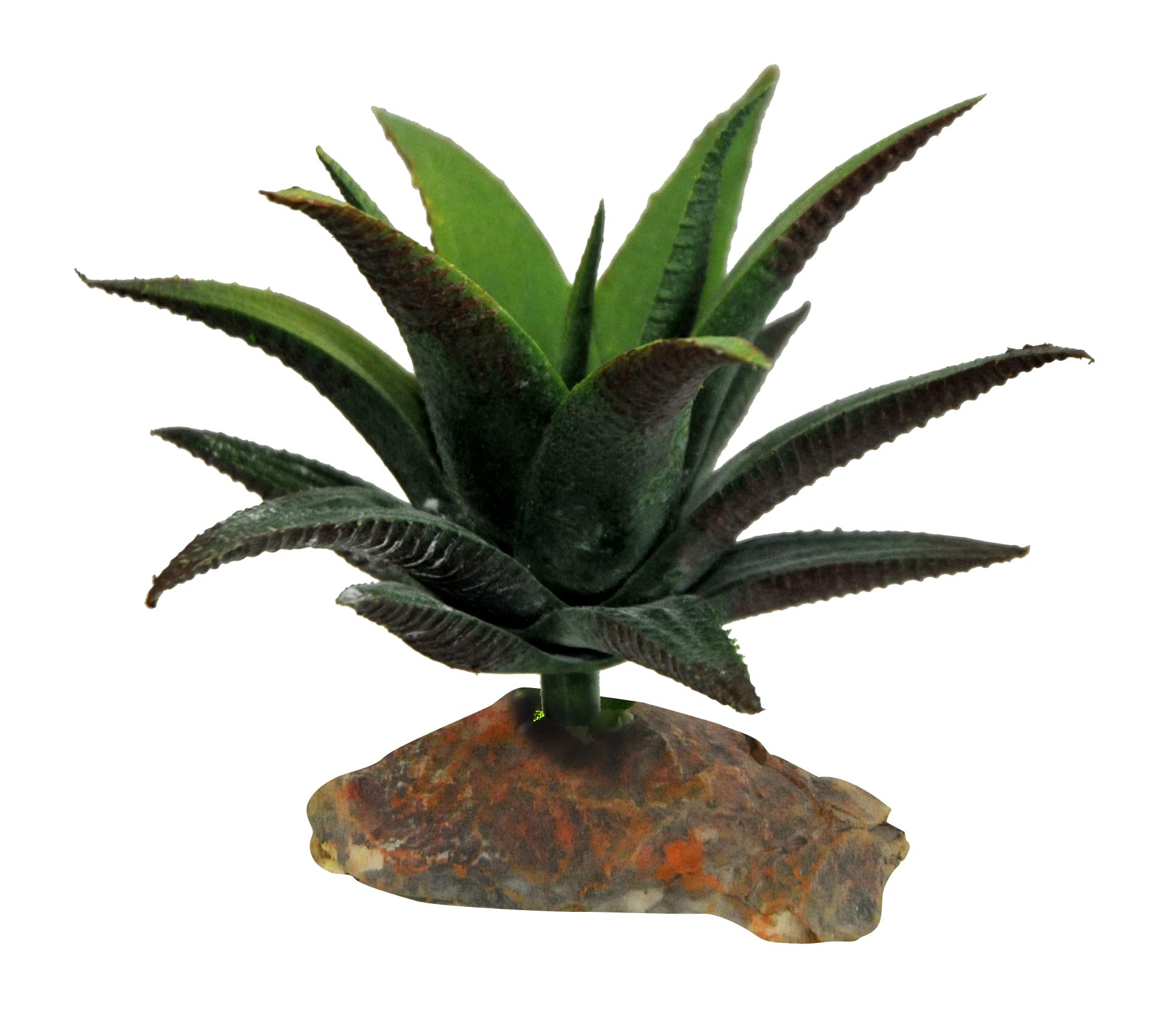 lucky-reptile-64690-sukkulente-klein-ca-10-cm-terrarien-deko-auf-steinsockel image 1