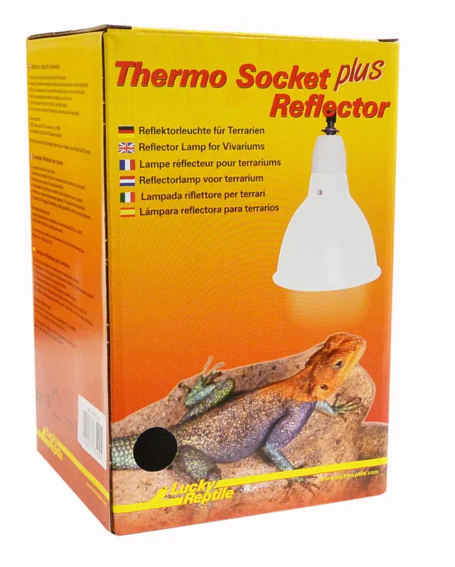 lucky-reptile-htr-1w-thermo-socket-reflector-klein-wei-e27-reflektorleuchte image 1