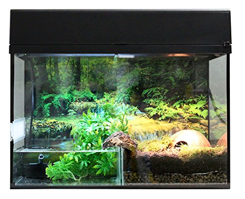 lucky-reptile-starter-kit-bombina-pacman-50-cm-terrarium-komplettset-schwarz image 8