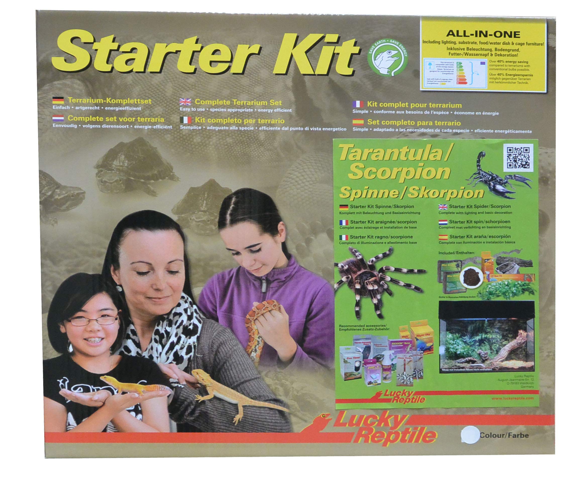 lucky-reptile-starter-kit-vogelspinne-skorpion-schwarz-50x28x40-cm-terrarium-kom image 2