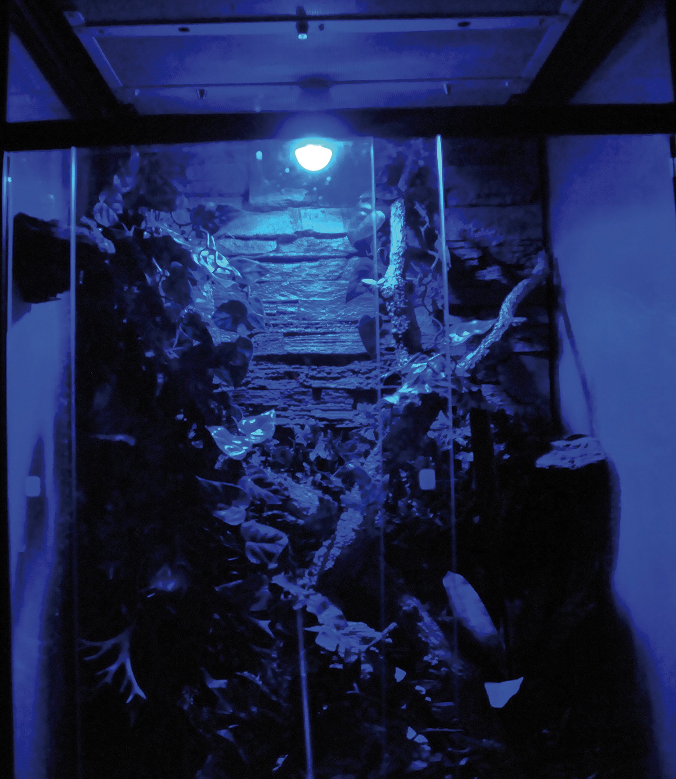 lucky-reptile-moon-lamp-led-mondlichtlampe-e27-0-5w image 5