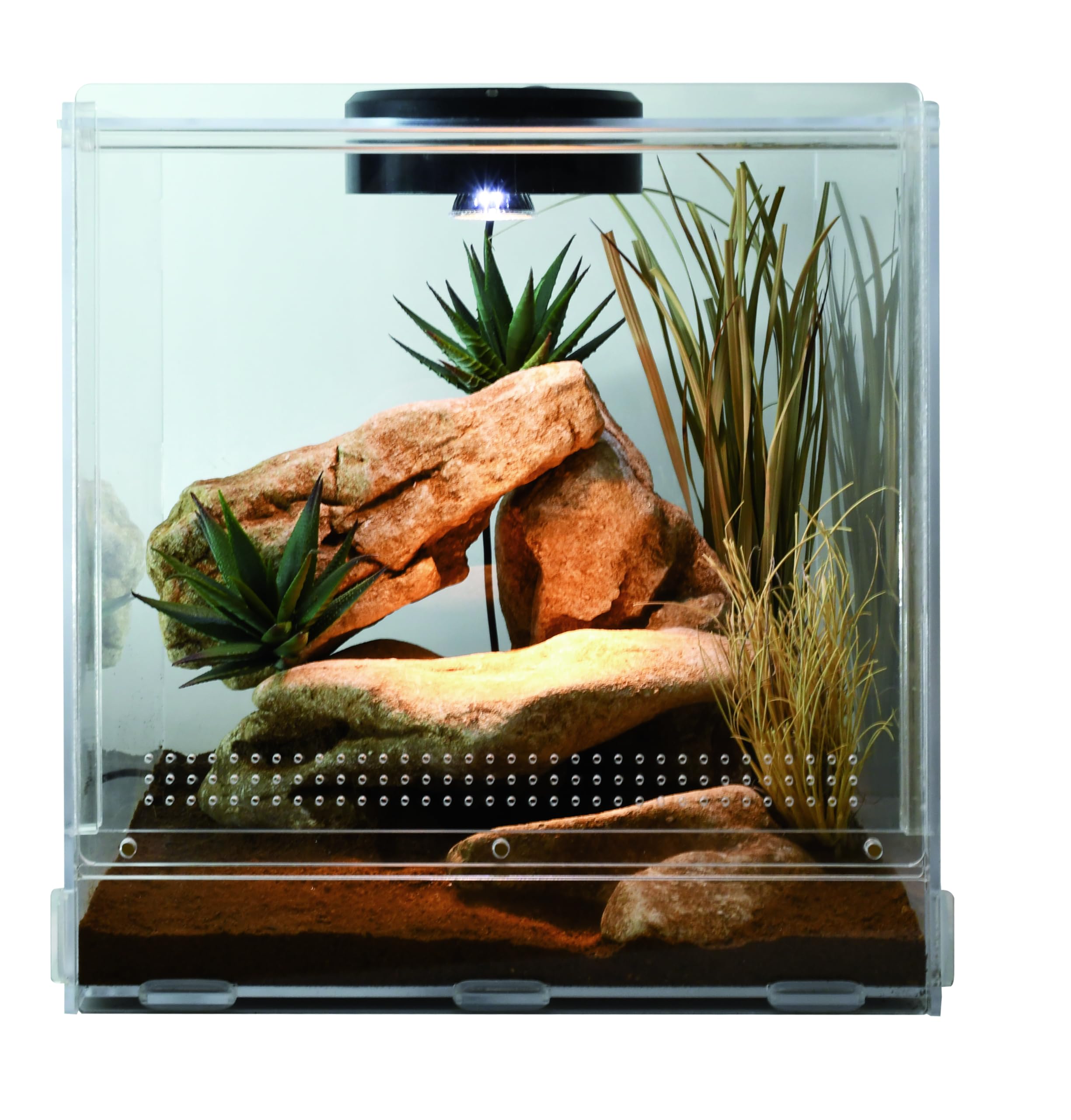 lucky-reptile-lifetarrium-terrarium-30-x-30-x-45-cm image 5