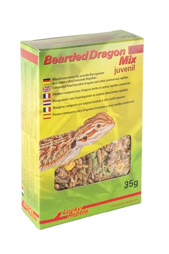 lucky-reptile-bearded-dragon-mix-juvenile-bartagamenfutter-35-g image 3
