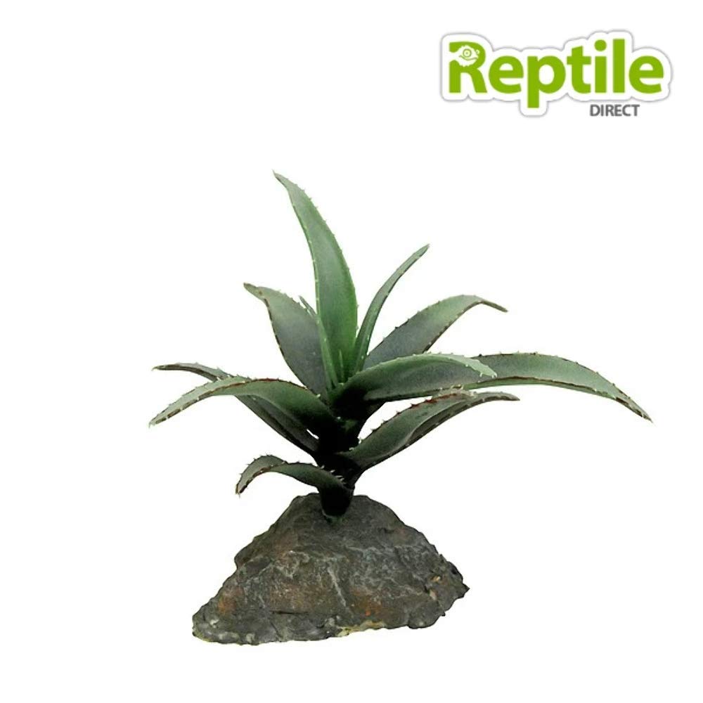 lucky-reptile-kalahari-busch-terrarien-deko-ca-40-cm image 4