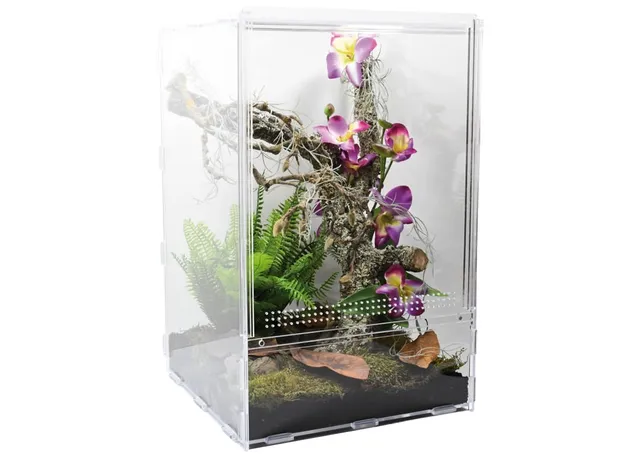 lucky-reptile-lifetarrium-terrarium-30-x-30-x-45-cm image 1