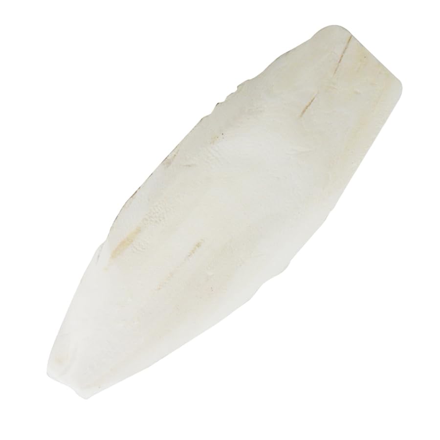 lucky-reptile-sepia-bone-s-doppelpack-unter-16-cm-sepiaschulp image 5