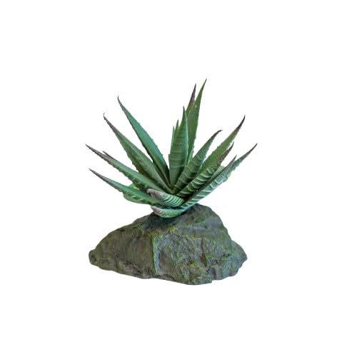 lucky-reptile-tiger-aloe-kunstpflanze-ca-8-cm-auf-steinsockel image 5