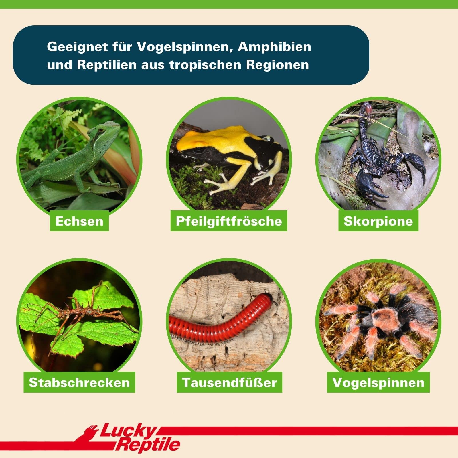 lucky-reptile-terrarienhumus-1000-g-kokos-substrat-ergibt-ca-15-liter image 3
