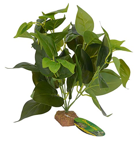 lucky-reptile-64633-golden-pothos-kunstpflanze-ca-30-cm-auf-steinsockel image 2