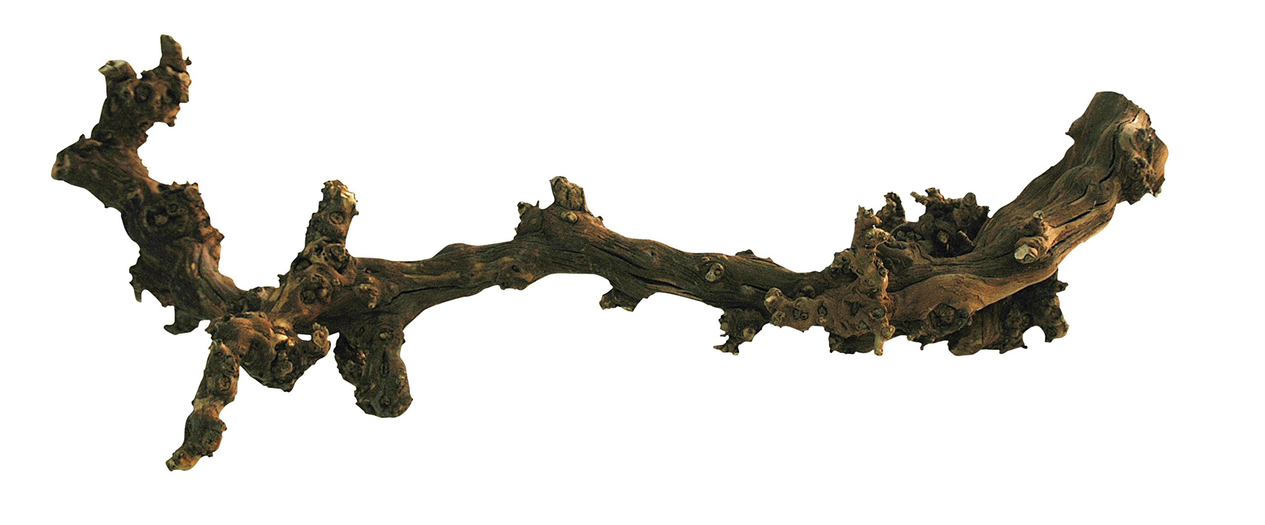 lucky-reptile-rebholz-terrarium-deko-holz-gr-e-mittel image 3