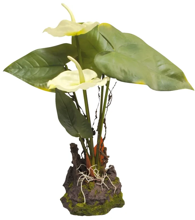 lucky-reptile-if-31-anthurium-kunststoffpflanze-mit-fu-wei image 1