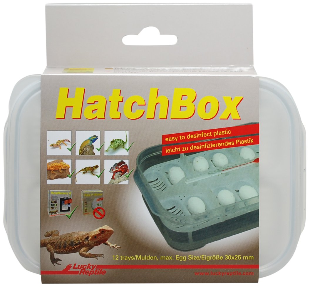 lucky-reptile-hatchbox-brutbox-f-r-reptilieneier-f-r-bis-zu-12-eier image 1