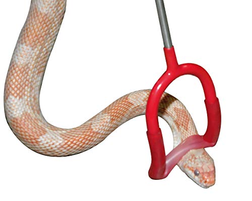 lucky-reptile-lhp-100-schlangenstock-pinner-100-cm image 7