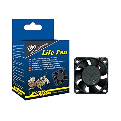 lucky-reptile-life-fan-l-fter-f-r-life-experience-terrarien image 5