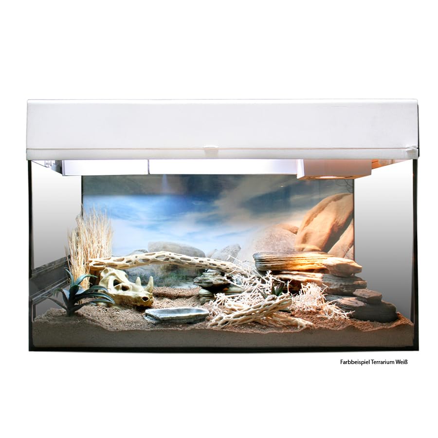 lucky-reptile-starter-kit-landschildkr-te-terrarium-wei-80-x-40-x-52-cm image 2