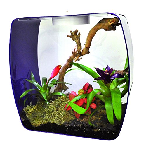 lucky-reptile-lb-30op-life-box-30-designterrarium-acrylglas-beere-30x18x30-cm image 6