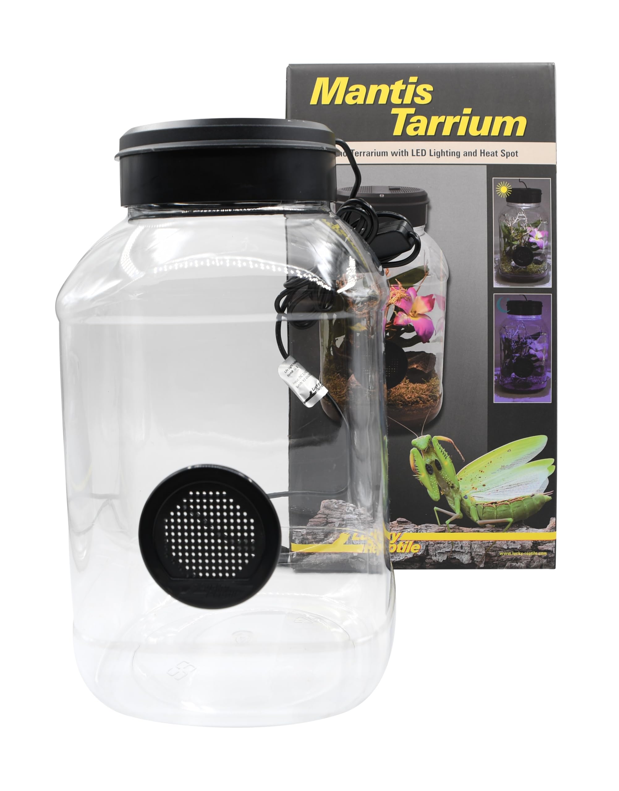 lucky-reptile-mantistarrium-kleinterrarium-18-x-18-x-35-cm-f-r-gottesanbeterinne image 5