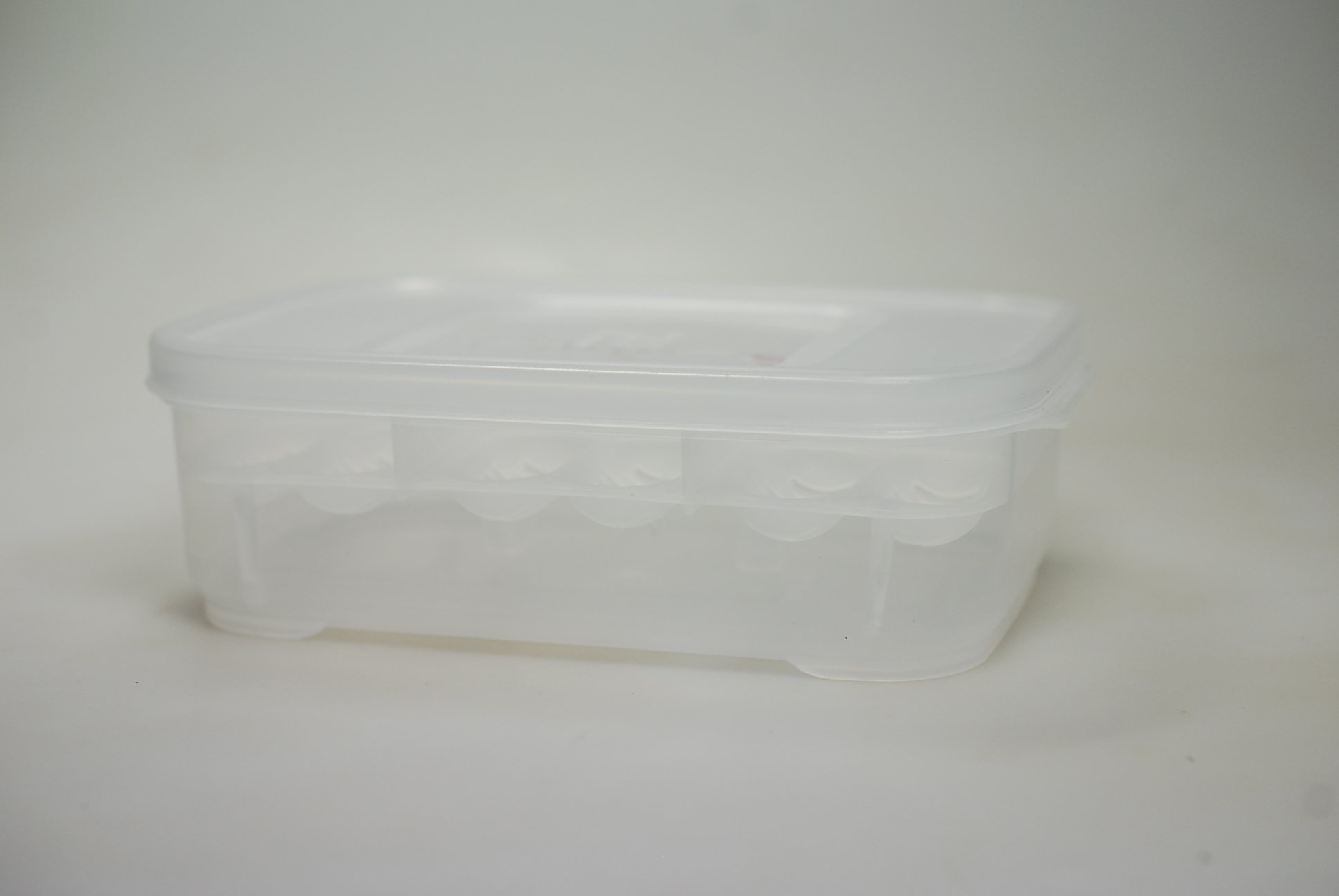 lucky-reptile-hatchbox-brutbox-f-r-reptilieneier-f-r-bis-zu-12-eier image 6