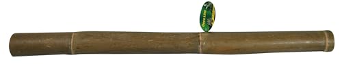 lucky-reptile-bambusstange-1-m-durchmesser-bis-5-cm-terrariendeko image 4
