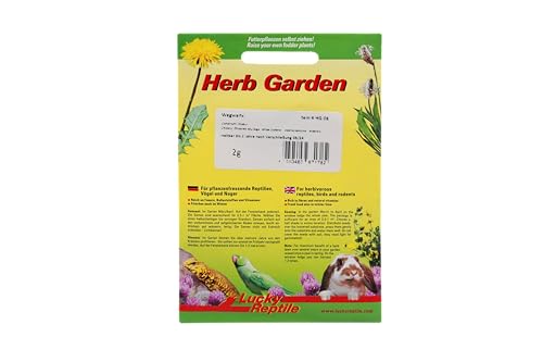 lucky-reptile-hg-08-herb-garden-wegwarte-2-g-samenmischung image 3