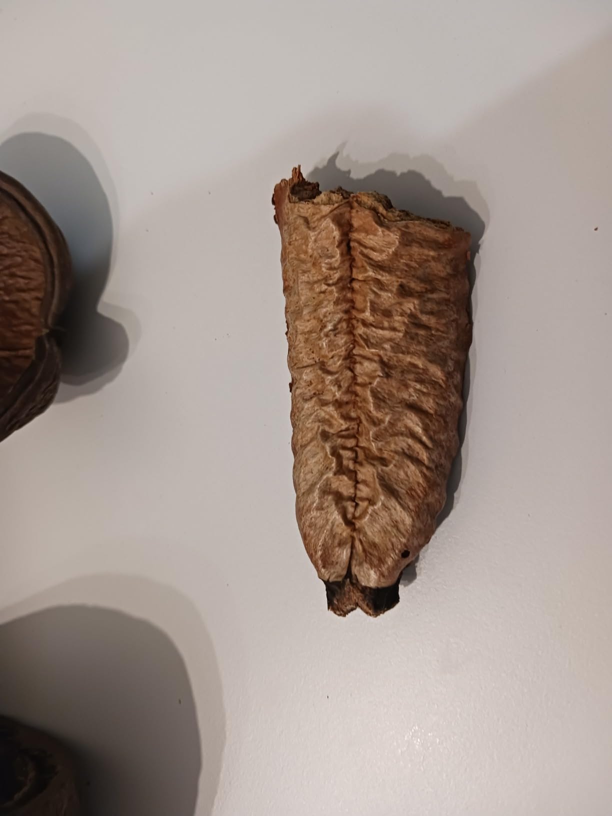 Schöne Mischung, gut verarbeitet
