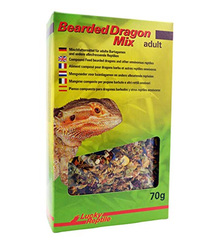 lucky-reptile-bearded-dragon-mix-juvenil-futter-70-g image 4