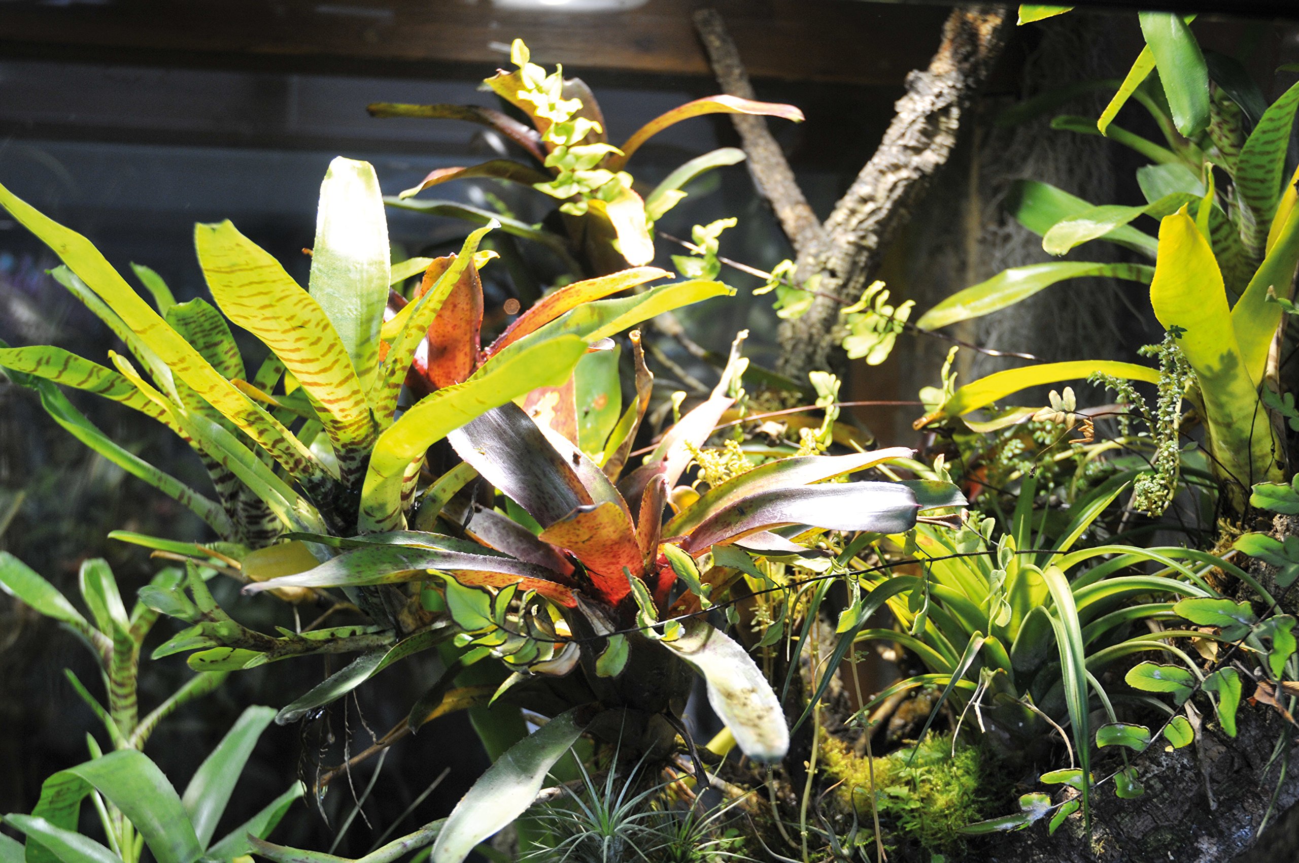 lucky-reptile-terra-fan-zusatzl-fter-temperaturgesteuerte-terrarienl-ftung image 3